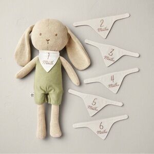 Newborn Milestone Knit Bunny 7pc - Hearth & Hand™ with Magnolia